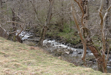 Stream
