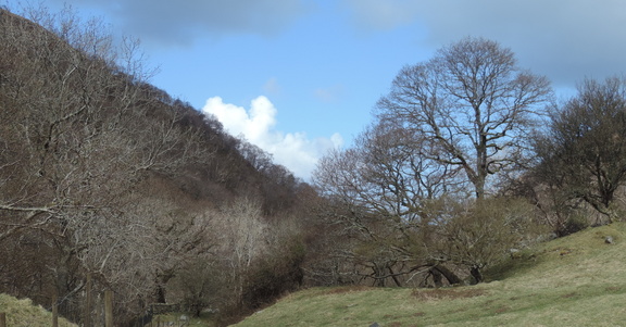 Down the valley