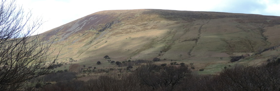 Hillside