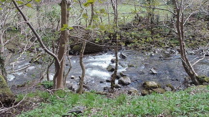 Stream