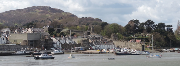Bay