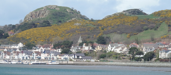 Town