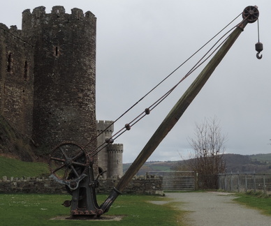 Crane
