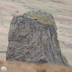 Rock