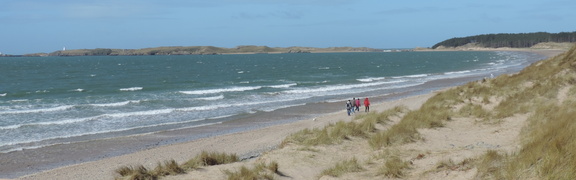 Along the beach