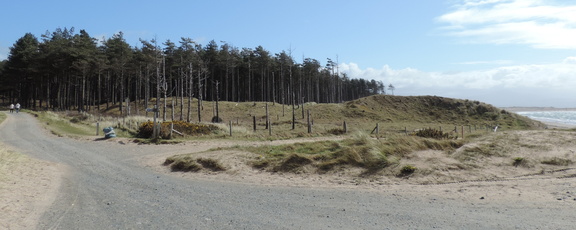 Woods