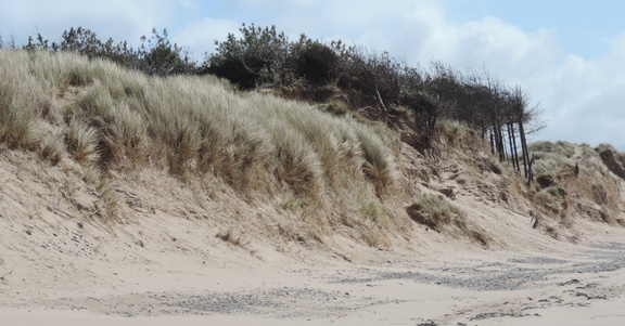 Dunes