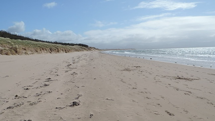 Sand