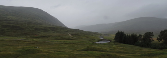 Misty landscape