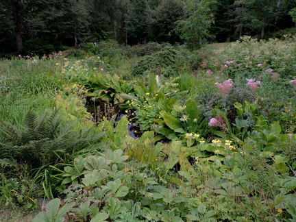 Pond