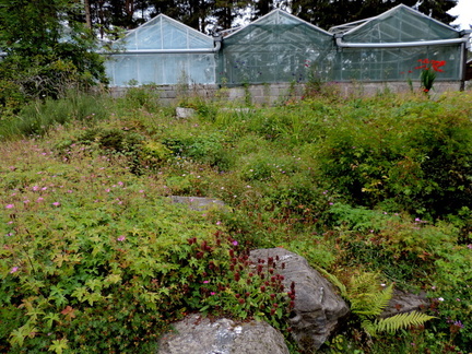 Rockery