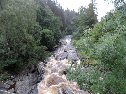 Rapids