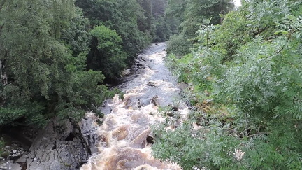 Rapids
