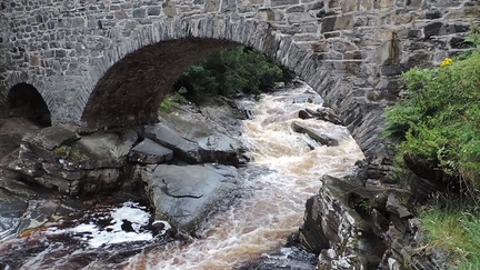 Rapids