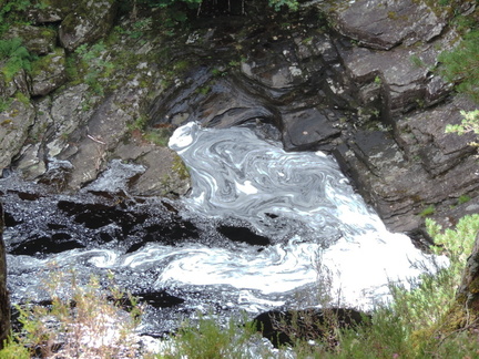 Foam