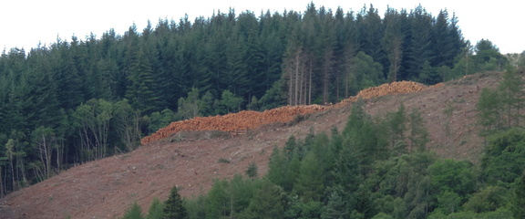 Hillside