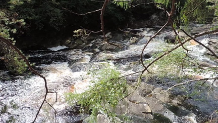 04-Rapids