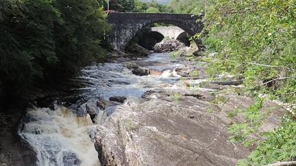 Rapids