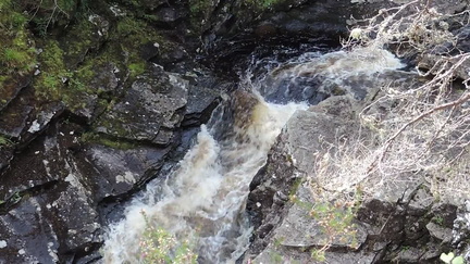 Rapids