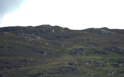 Hillside