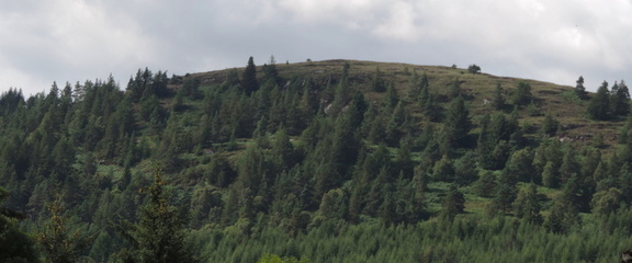 Wooded peak