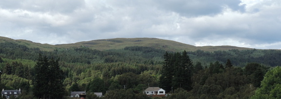 Hillside