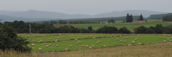 Fields