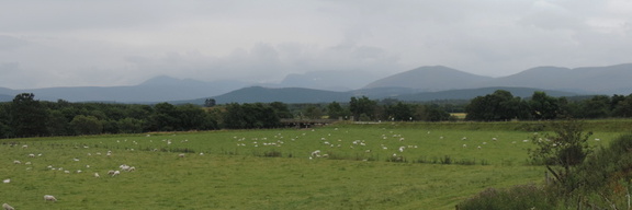 Fields