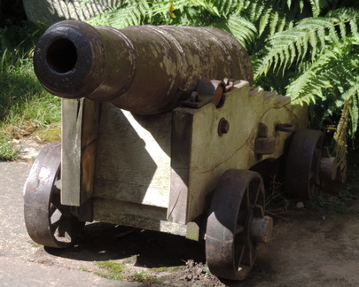 Cannon