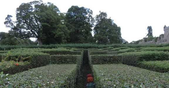 Maze