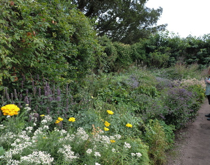 Flower beds