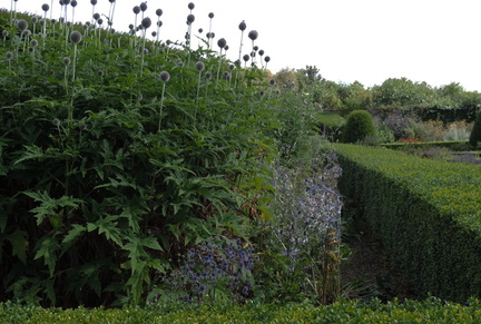 Hedges