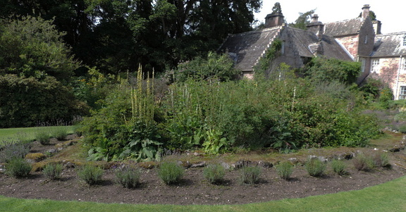 Rockery
