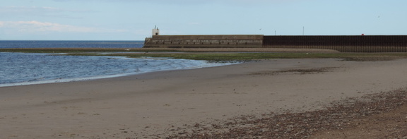 Along the beach