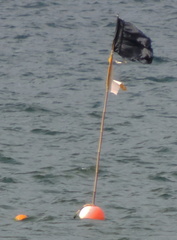 Buoy