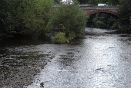Bridge