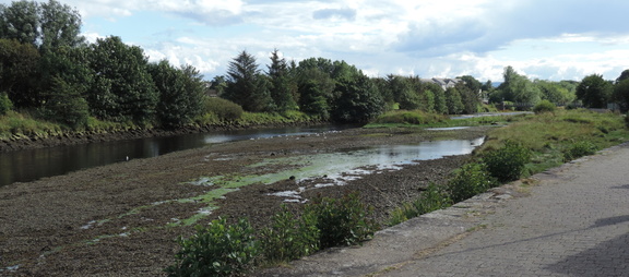 Mud flats