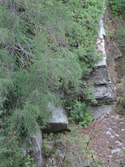 Jagged rocks