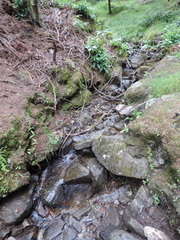 Stream