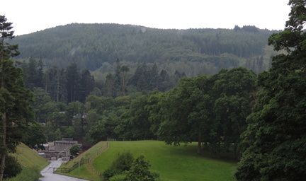 Hillside