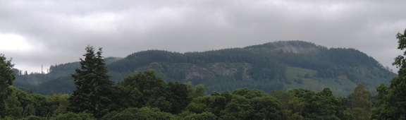 Trees