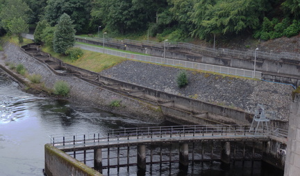 Salmon ladder