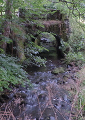 Stream