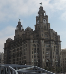 Liver Building