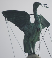 Liver Bird