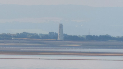 Tower