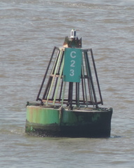 Buoy