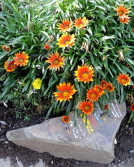 Flowers and mosaic
