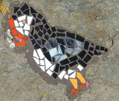 Puffin