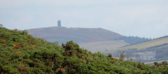 Tower